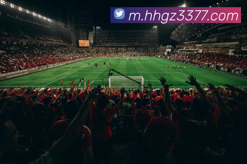 多媒体互动体验